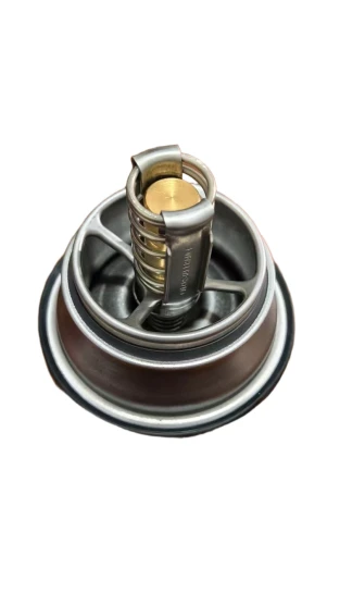 Konsistenter Thermostat 21412639